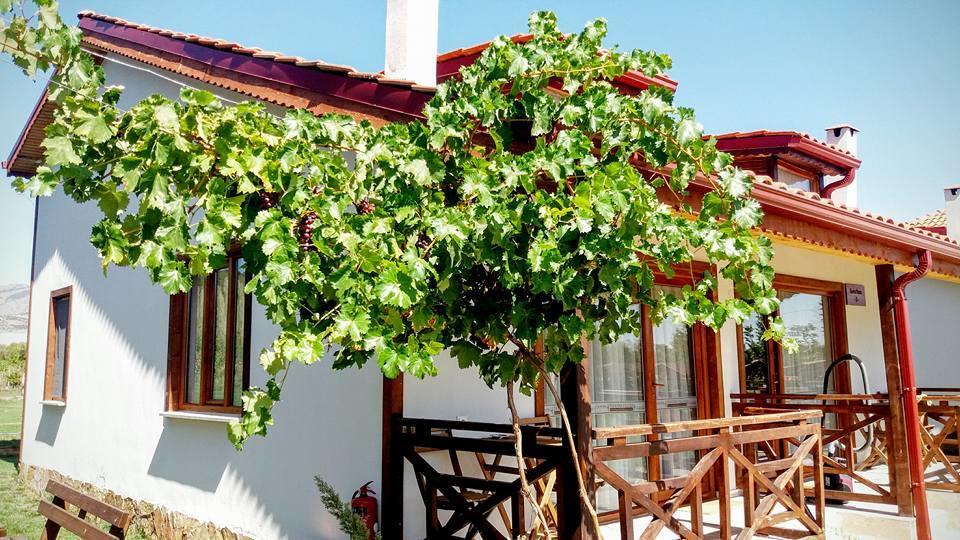 Tefenni Villas & Hotel المظهر الخارجي الصورة